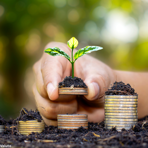 Financial growth and investment